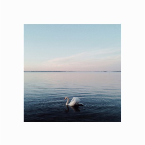 Swan Lake | Boomplay Music