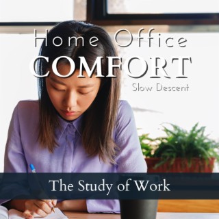 Home Office Comfort - The Study of Work