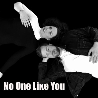 No One Like You