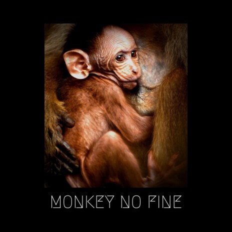 Monkey No Fine | Boomplay Music