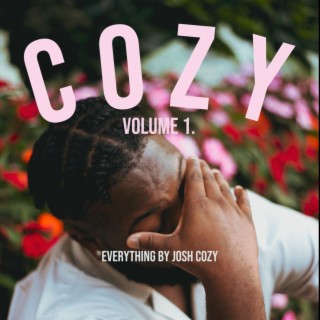 Cozy, Vol 1.