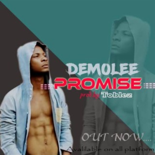 Promise lyrics | Boomplay Music