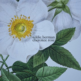 Cherokee Rose