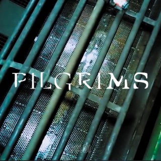 Pilgrims lyrics | Boomplay Music