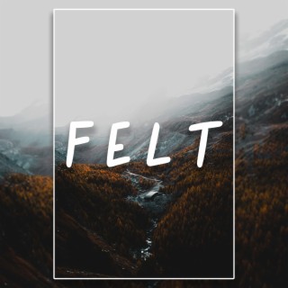 Felt