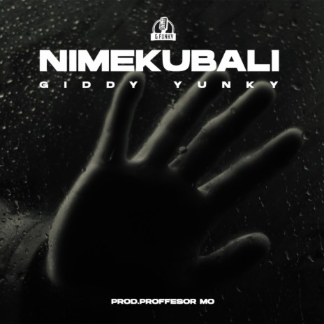NIMEKUBALI | Boomplay Music