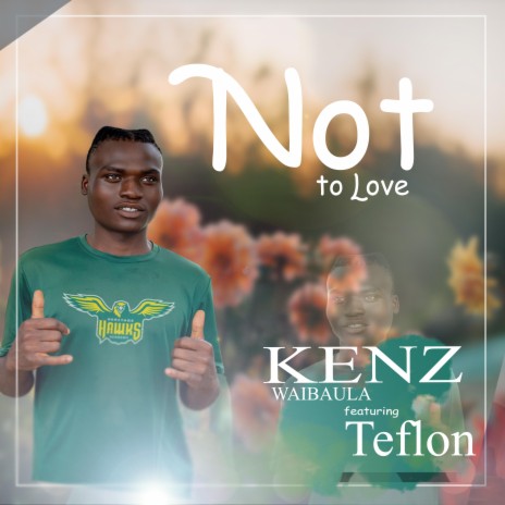 Not To Love (feat. Teflon)