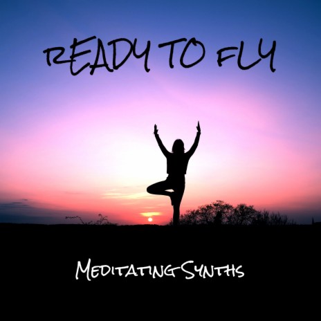 Ready to Fly | Boomplay Music