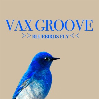 Vax Groove
