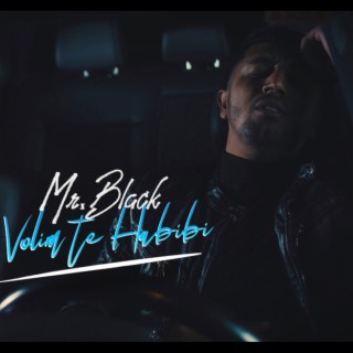 Volim te habibi(Mr.Black)