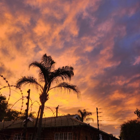 Sunsets in Newlands | Boomplay Music