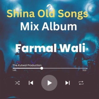 Farmal Ali Khayali (Shina Mix Album)
