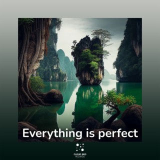Everything Is Perfect