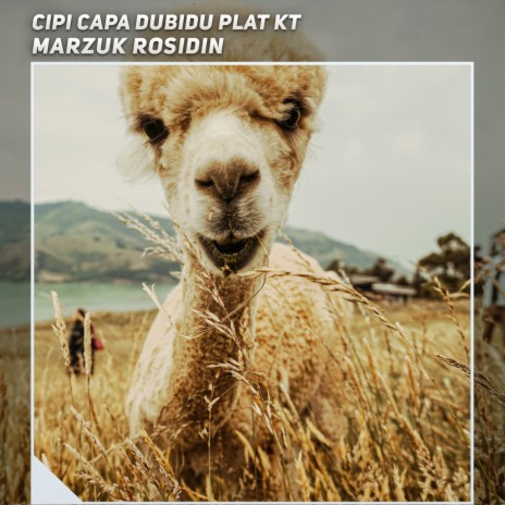 Cipi Capa Dubidu Plat Kt | Boomplay Music