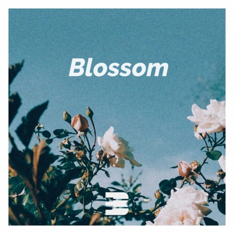 Blossom | Boomplay Music