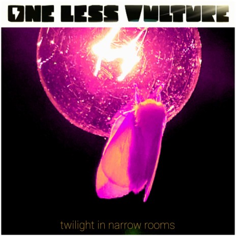 Twilight in Narrow Rooms | Boomplay Music