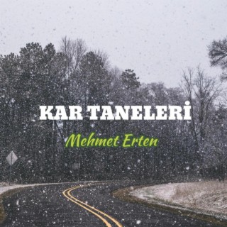 Kar Taneleri lyrics | Boomplay Music