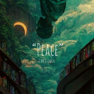 Can't Google Peace lyrics | Boomplay Music