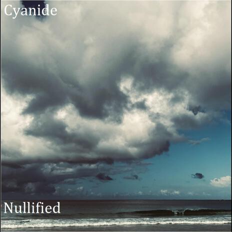 Nullified (Album Version) | Boomplay Music