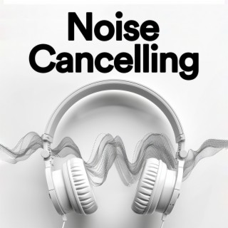 Noise Cancelling For Sleep