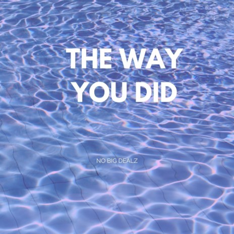 The Way You Did | Boomplay Music