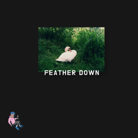Feather Down | Boomplay Music