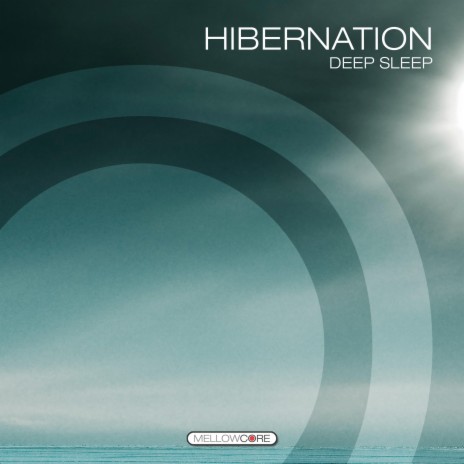 Hibernation (Power Nap)