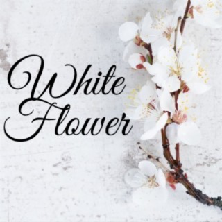 White Flower