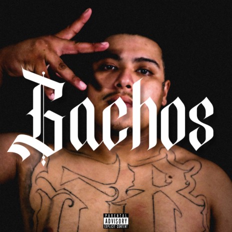 Gachos | Boomplay Music