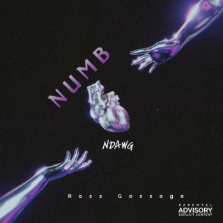 Numb lyrics | Boomplay Music