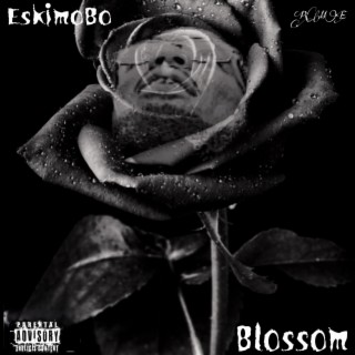 BlossoM lyrics | Boomplay Music