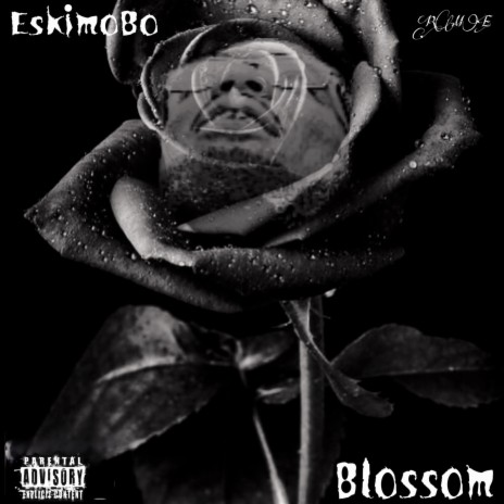 BlossoM | Boomplay Music