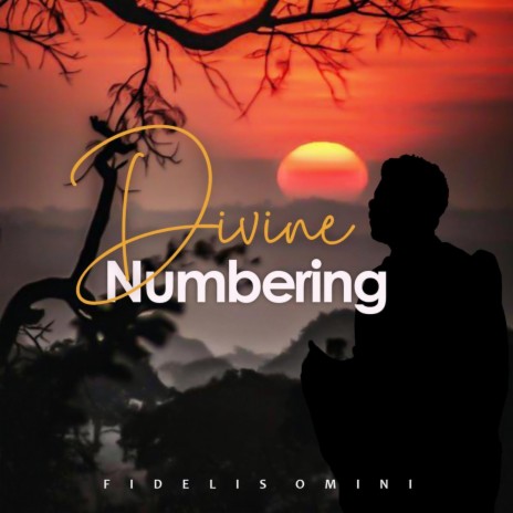 Divine numbering