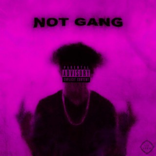 Not Gang