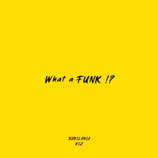 What a FUNK!? (Radio Edit) ft. VIZ lyrics | Boomplay Music