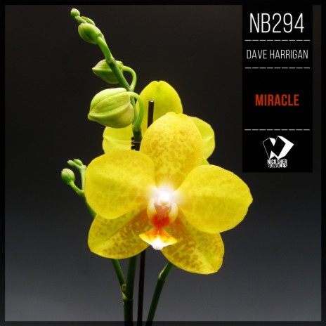 Miracle (Instumental Mix) | Boomplay Music