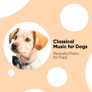Classical Music for Dogs: Peaceful Piano for Pups