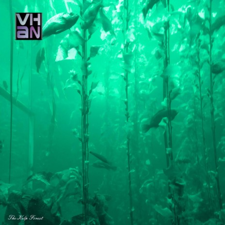 The Kelp Forest | Boomplay Music