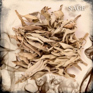 Sage