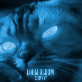 LOOM BLOOM