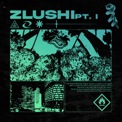 zlushi, pt. I | Boomplay Music