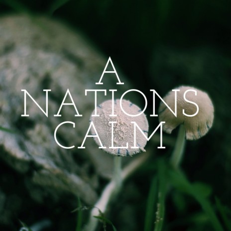 A nations calm | Boomplay Music