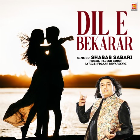 Dil E Bekarar | Boomplay Music