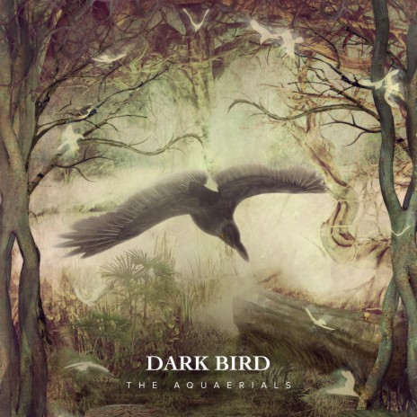 Dark Bird | Boomplay Music