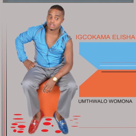 Umqhele Wodumo | Boomplay Music