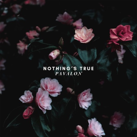 Nothing's True | Boomplay Music