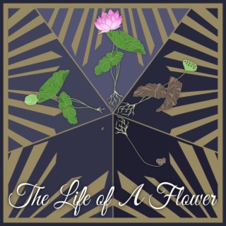 The Life of A Flower