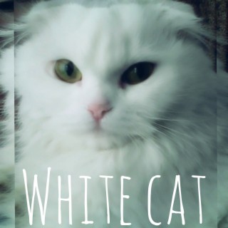 White Cat