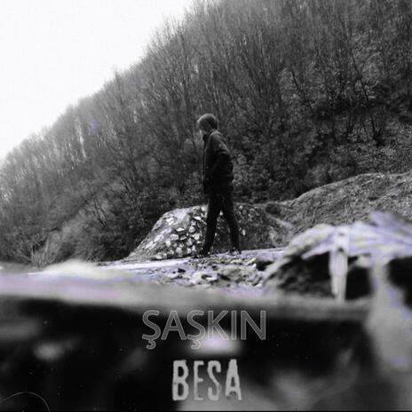 ŞAŞKIN | Boomplay Music