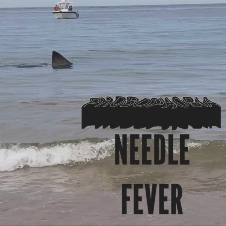 Needle Fever | Boomplay Music